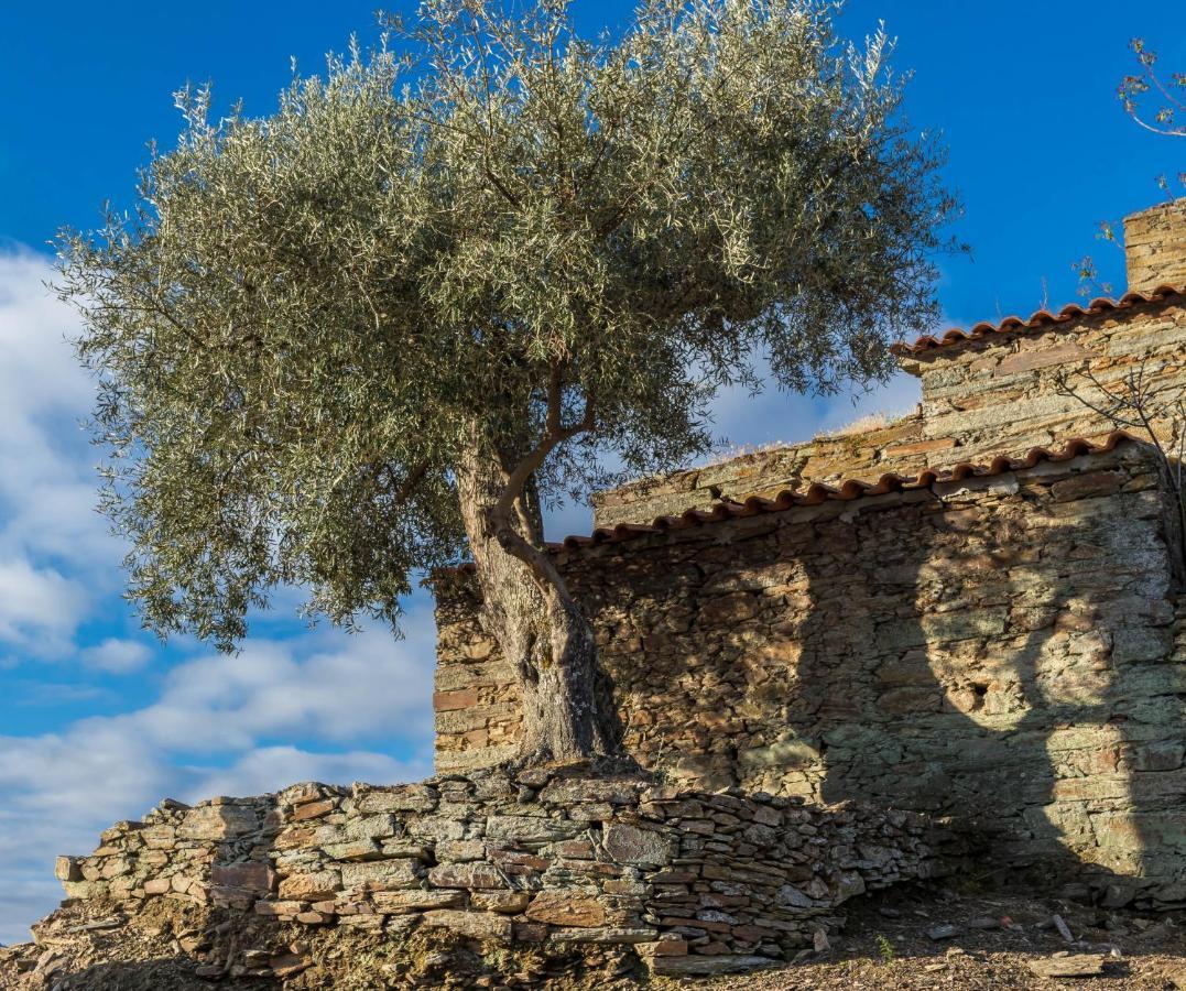 Dois Lagares House Bed & Breakfast ปินเญา ภายนอก รูปภาพ