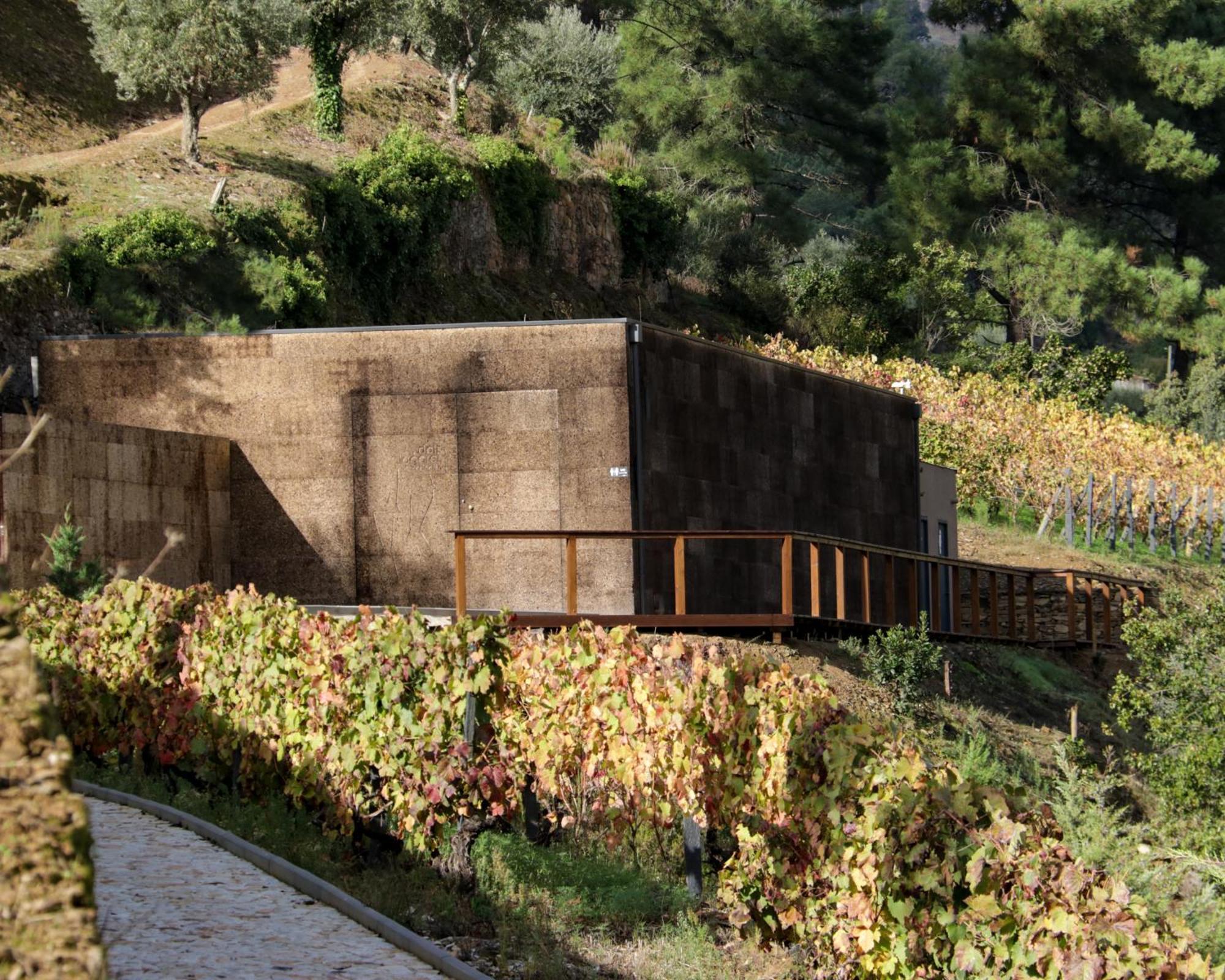 Dois Lagares House Bed & Breakfast ปินเญา ภายนอก รูปภาพ